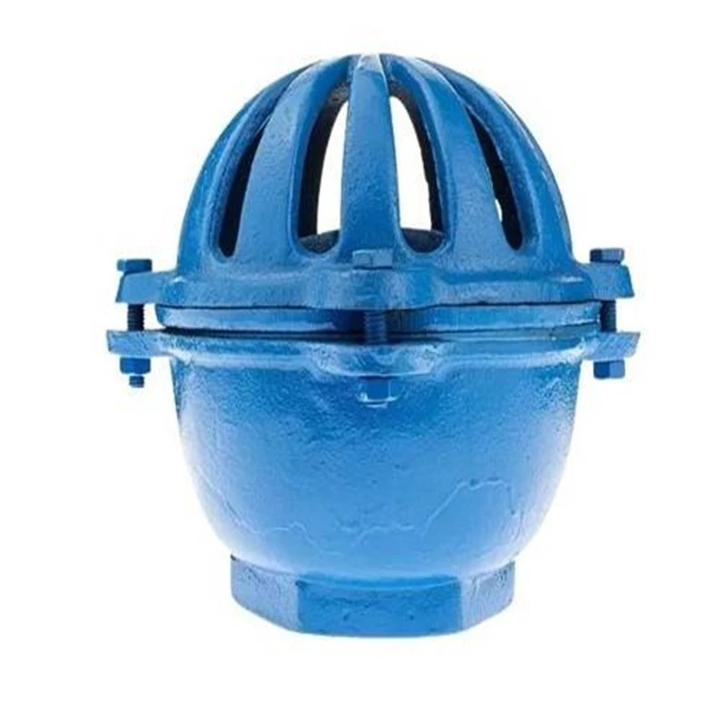 VÁLVULA PE FERRO FUNDIDO DN2.1/2'' TIPO CEBOLA BOMAJET