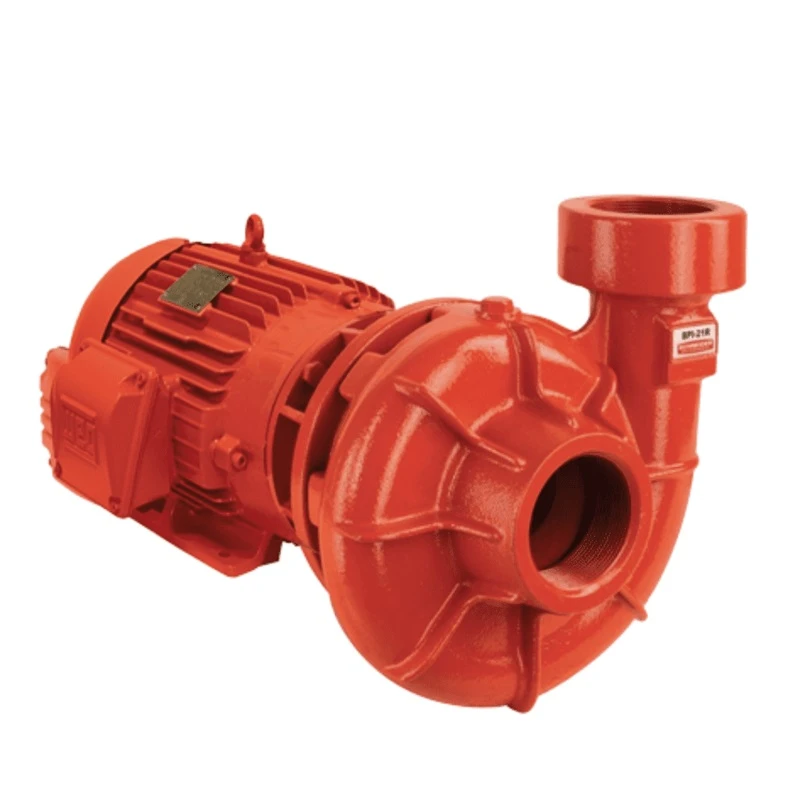 BOMBA BPI-21R 2.1/2 5CV TRIFÁSICO 4V ( ROTOR 145MM ) SCHNEIDER