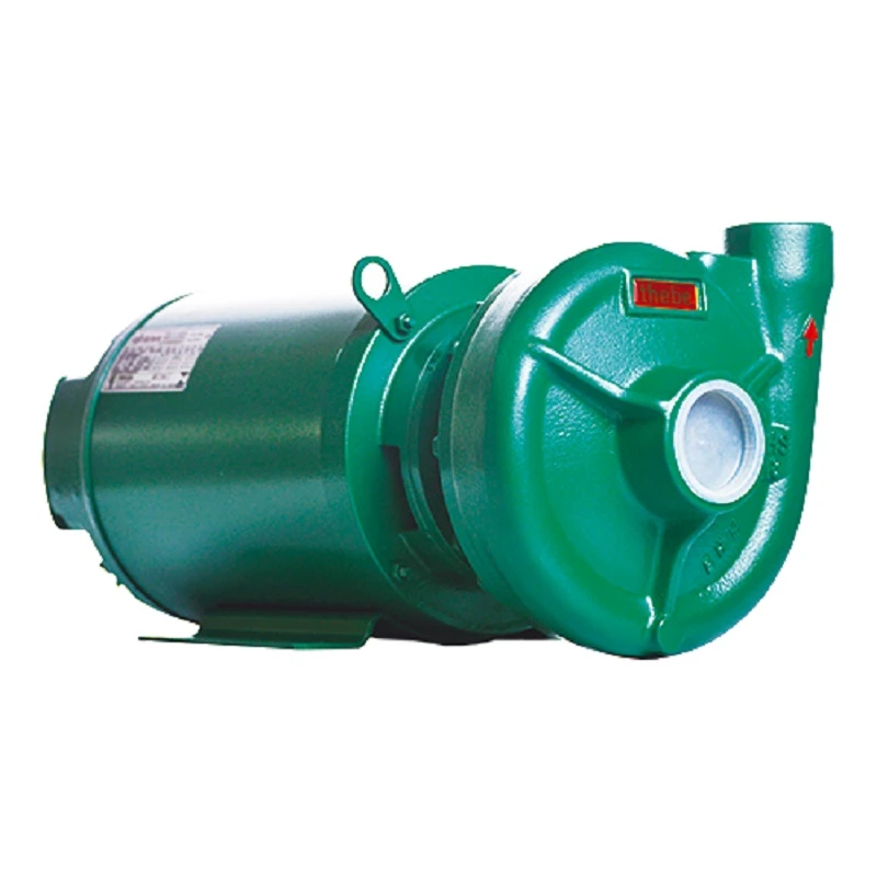 BOMBA THS-18 5.0CV TRIFÁSICO IP55 ( ROTOR 147 ) THEBE 