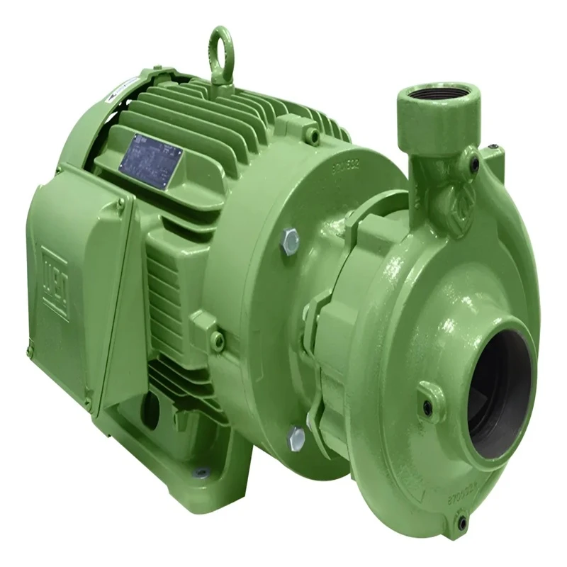BOMBA 100-065-200 R 30CV TRIFÁSICA 2P 60 3/6 CHR ( ROTOR 191MM ) SCHNEIDER